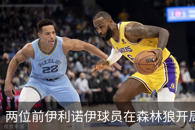 两位前伊利诺伊球员在森林狼开局抢眼，多苏穆场均12分香农13分