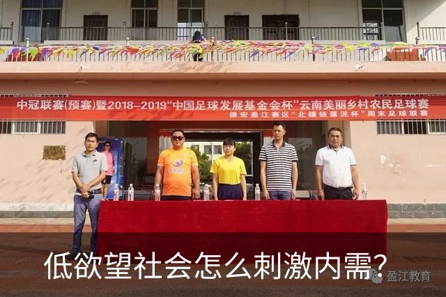 低欲望社会怎么刺激内需？