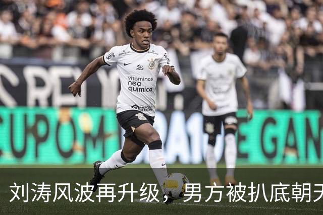 刘涛风波再升级，男方被扒底朝天，原来陈都灵、谷爱凌都是受害者