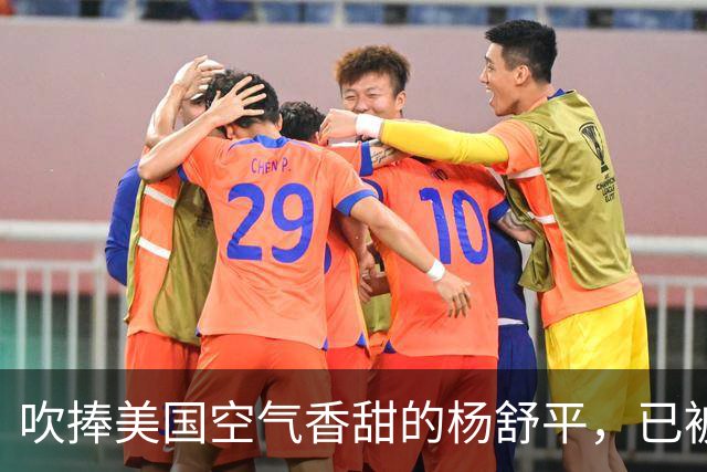 吹捧美国空气香甜的杨舒平，已被美国驱逐出境，回国后处境悲凉