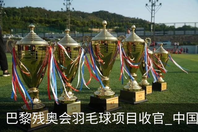 巴黎残奥会羽毛球项目收官 中国队斩获9金2银1铜