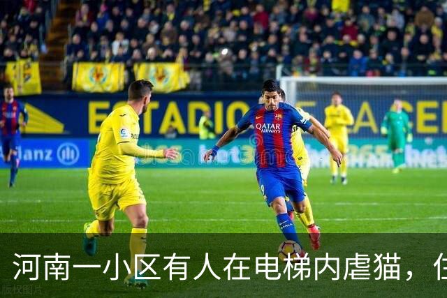 河南一小区有人在电梯内虐猫，住户称是一对母子，男子手撑电梯借力，踩踏猫身长达5分钟；警方已介入调查