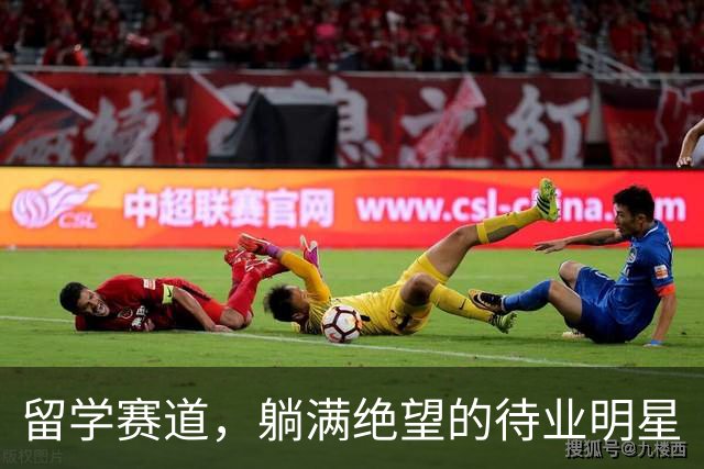 留学赛道，躺满绝望的待业明星