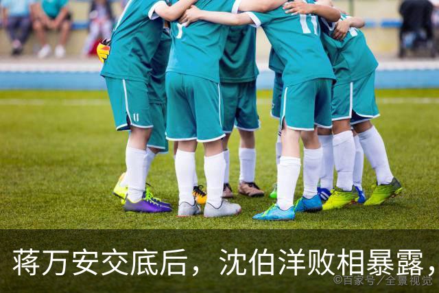 蒋万安交底后，沈伯洋败相暴露，还连累赖清德，最新民调不简单？