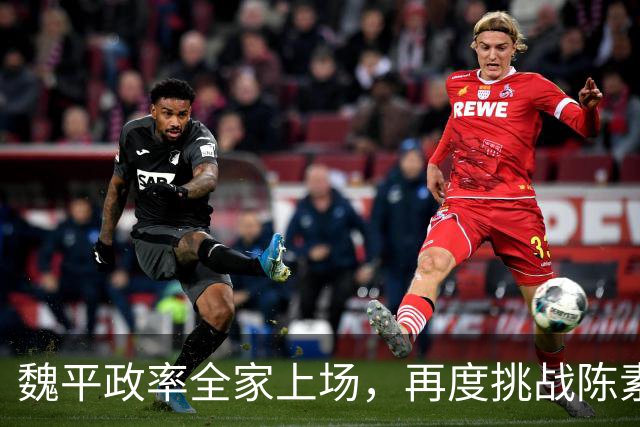 魏平政率全家上场，再度挑战陈素月 “尊王”几个月，王惠美该出手
